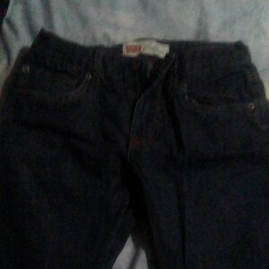Levi's Blue Straight Fit Jeans